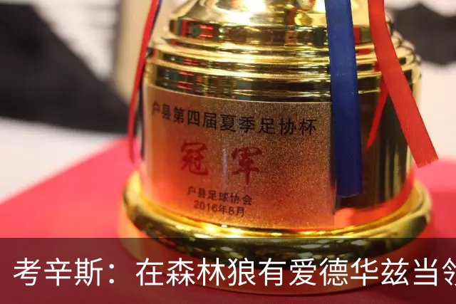 考辛斯：在森林狼有爱德华兹当领袖 三球能得到成长并且更成熟